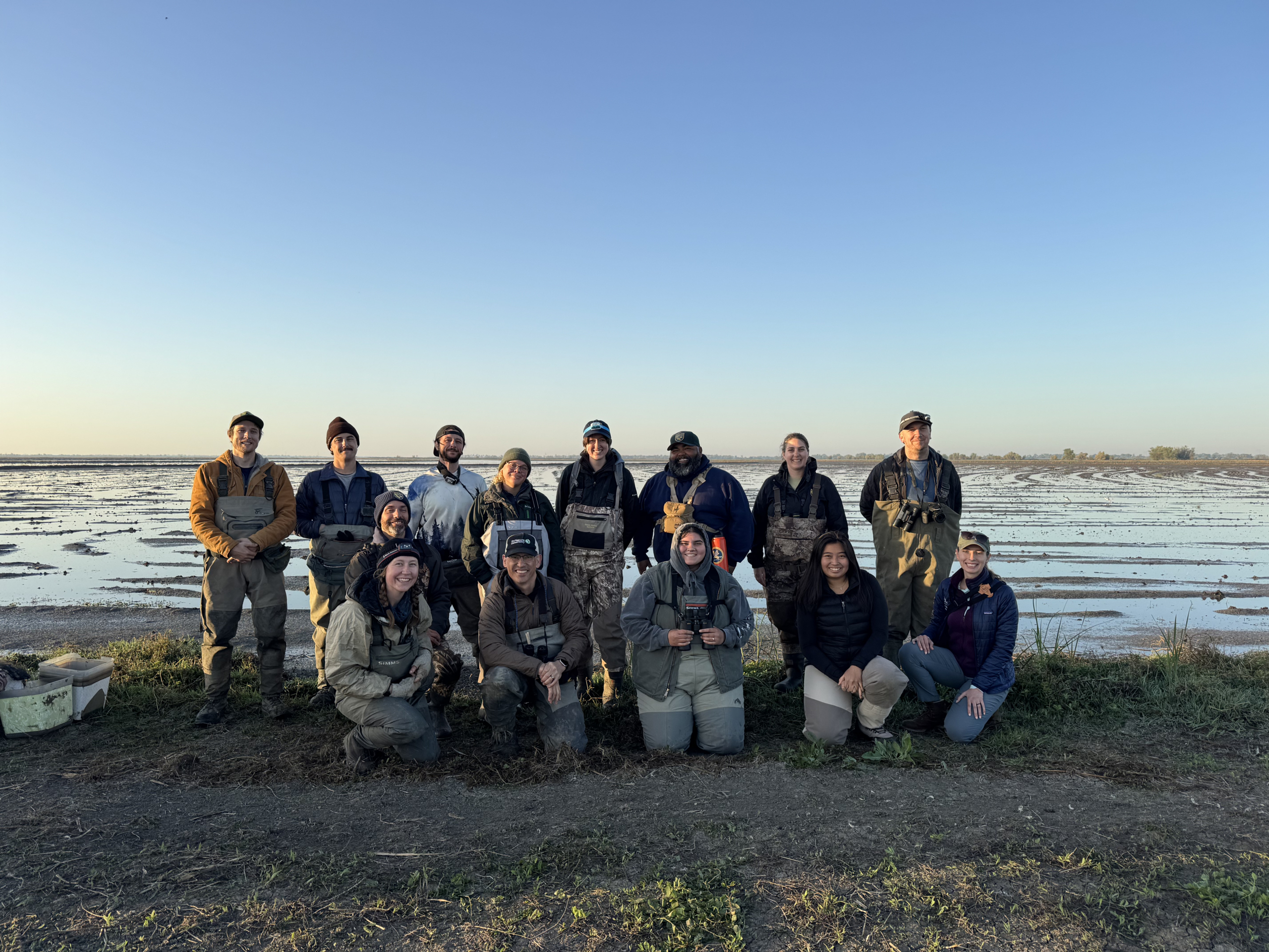 Shorebird-Capture_Alecia-Smith-scaled