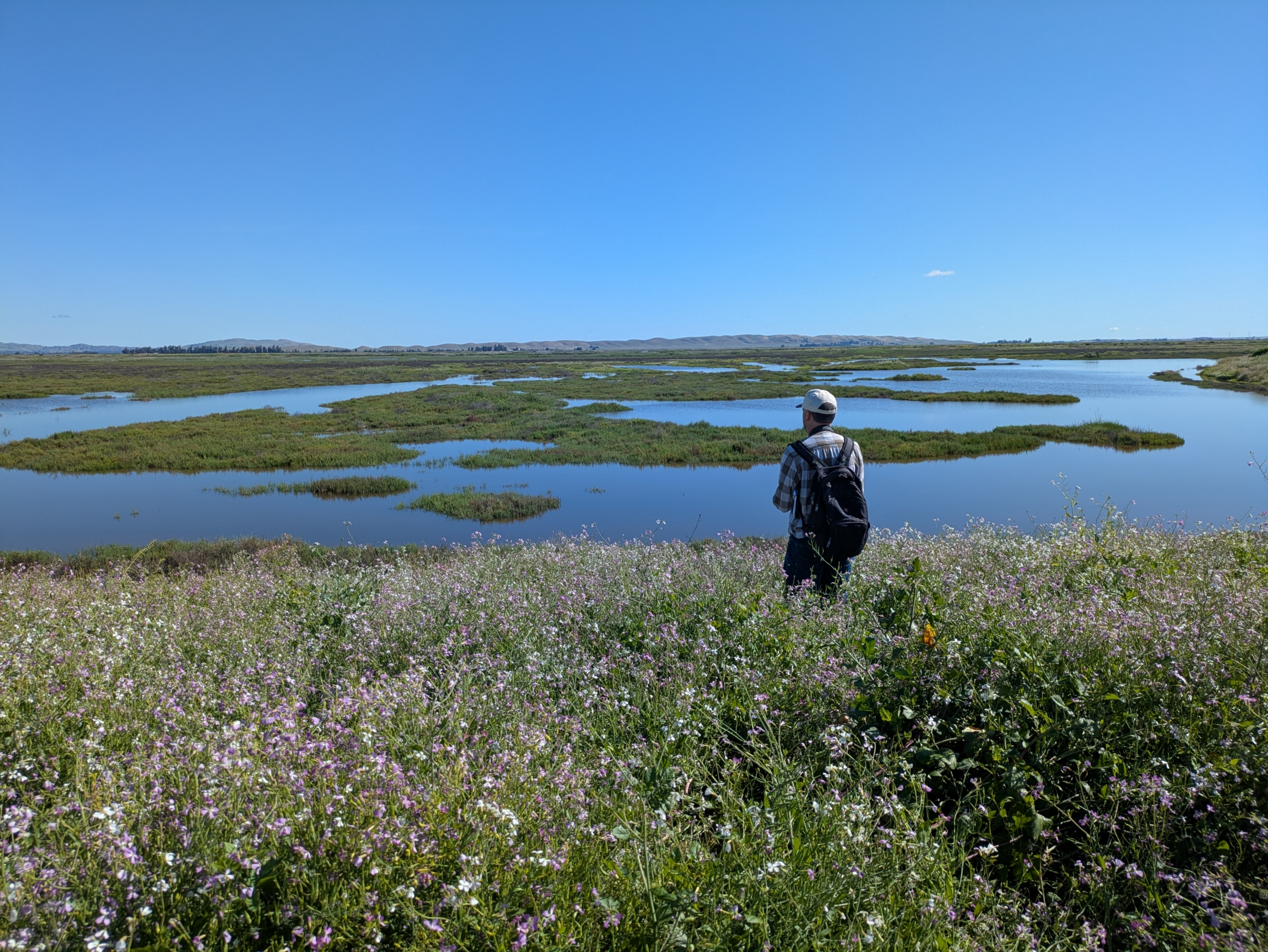 Suisun-Marsh_Ashley-Seufzer-scaled